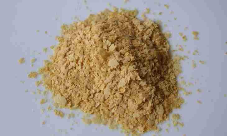 What yeast powder it is the best of all